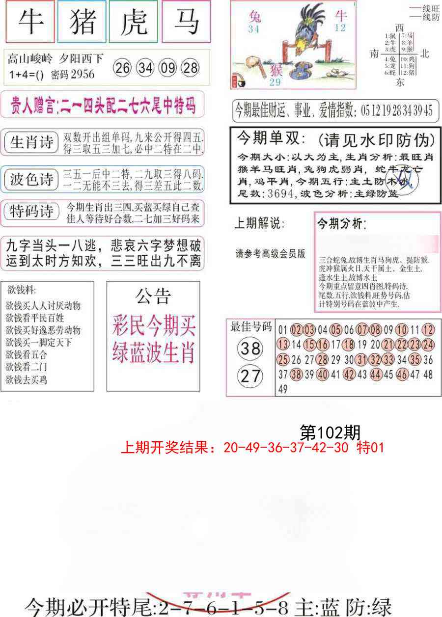 102期凤凰闲情A[图]