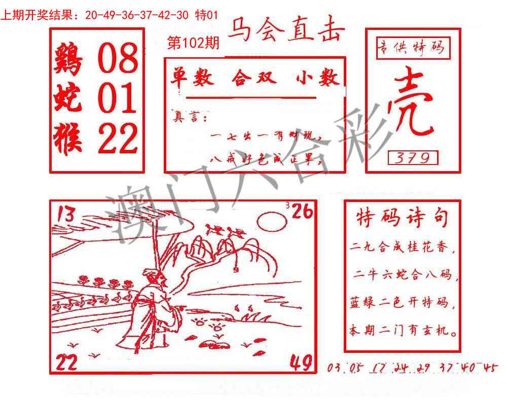 102期马会直击[图]