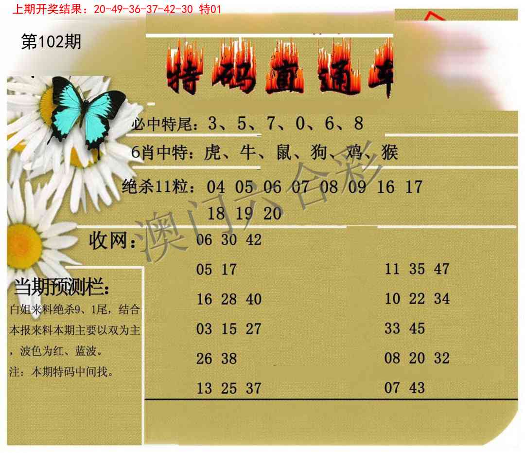 102期特码直通车[图]
