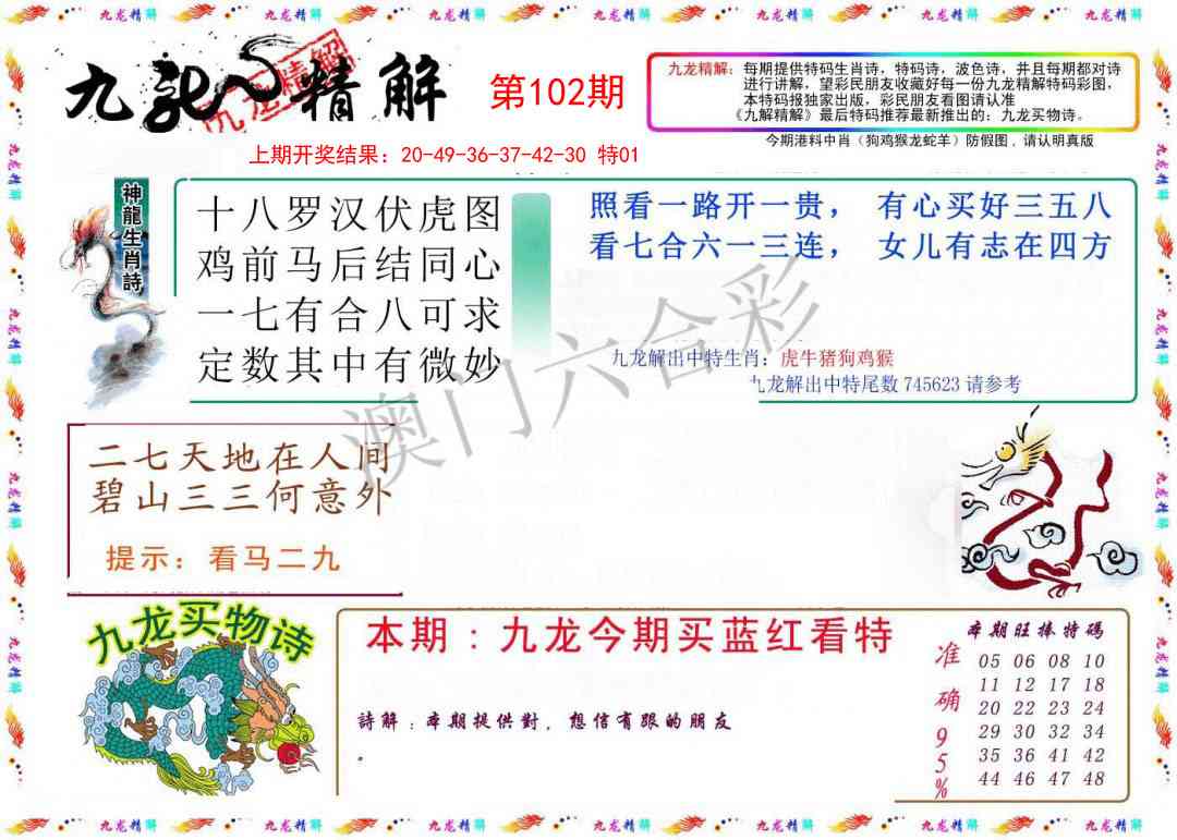 102期九龙精解[图]