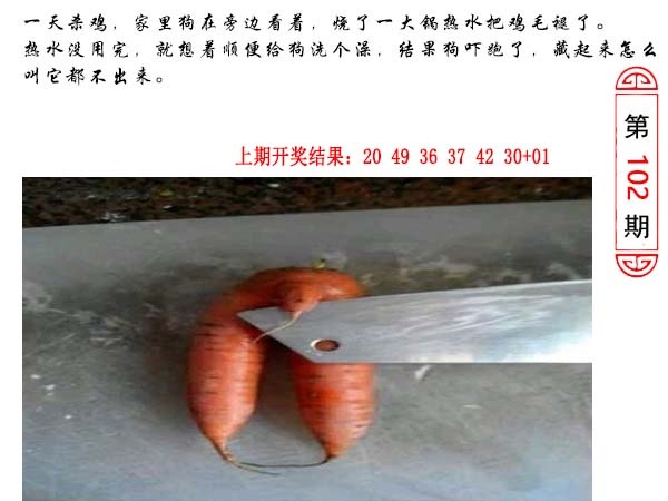 102期澳门生活幽默[图]