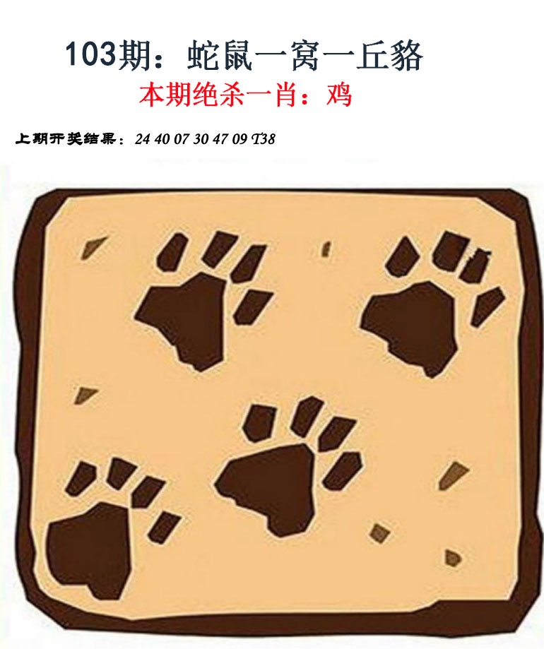 103期金钱豹自有真功夫[图]