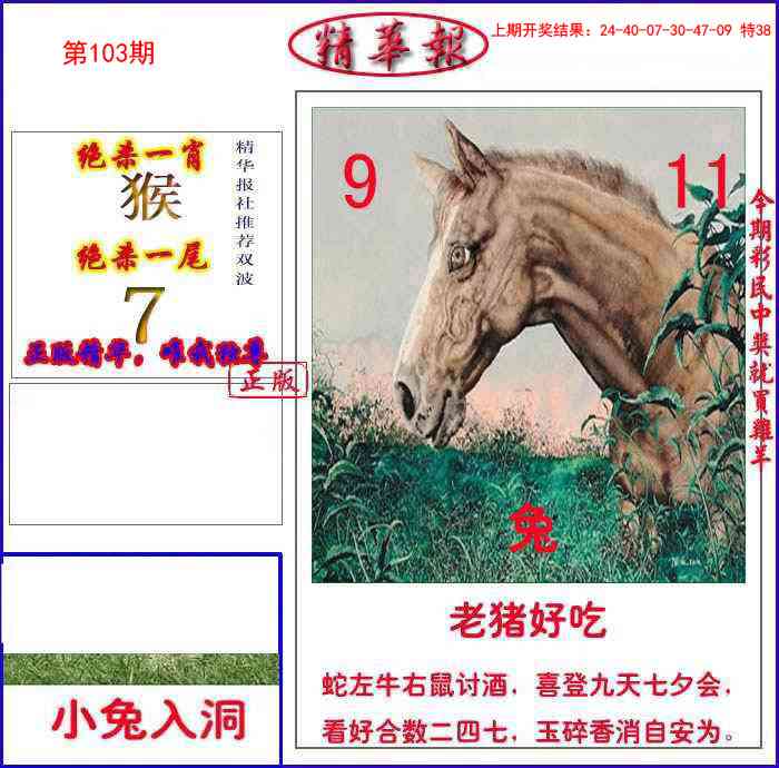 103期新精华报报[图]