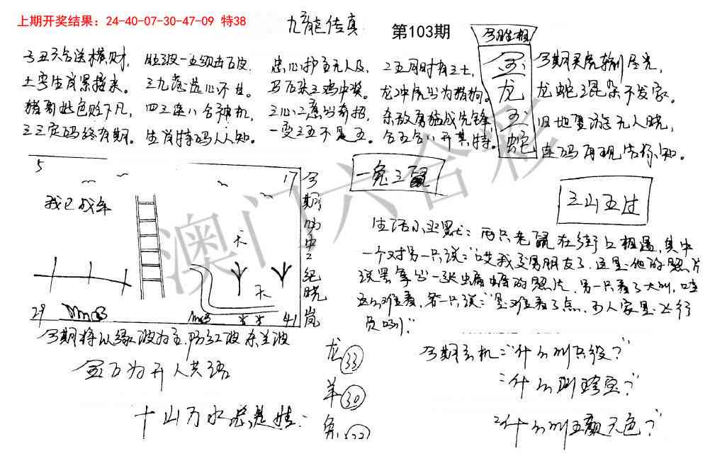 103期手写九龙内幕[图]