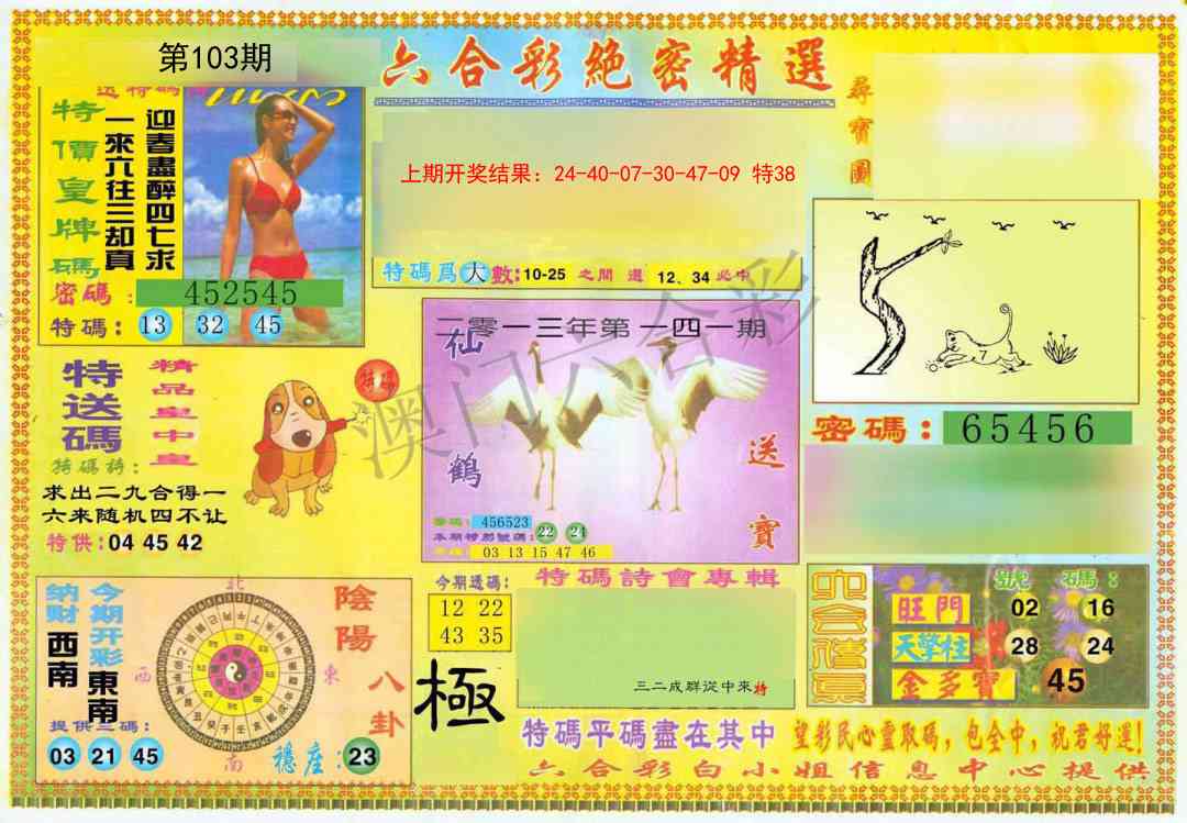 103期绝密精选A[图]