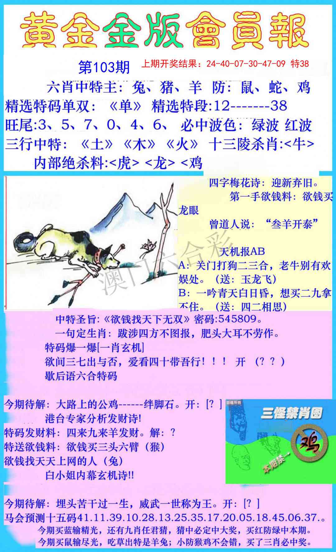 103期黄金金版会员报[图]
