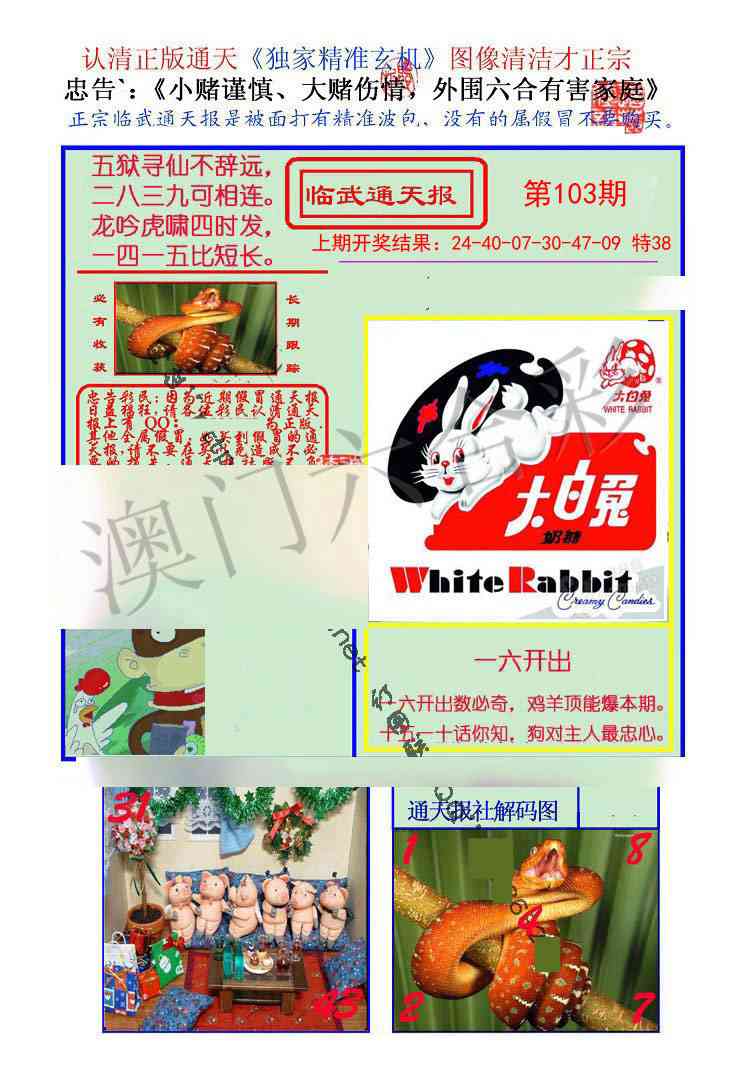 103期临武通天报[图]