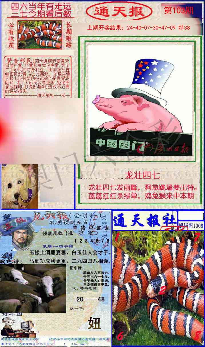 103期实力通天报[图]