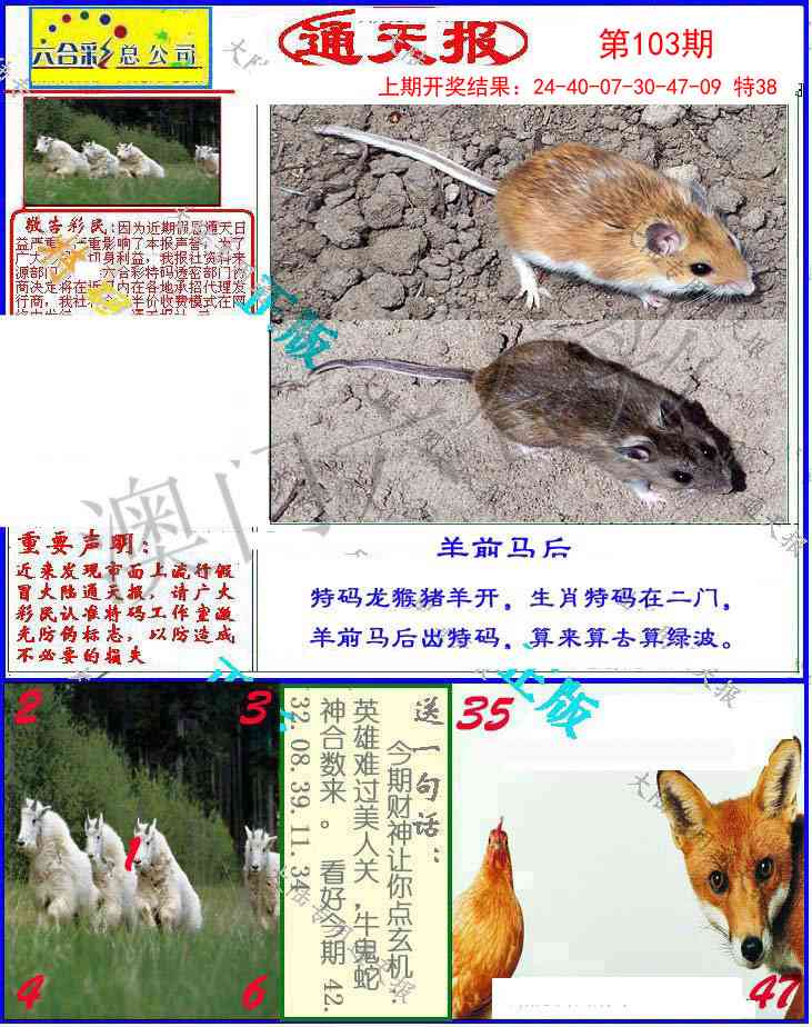 103期大陆通天报[图]