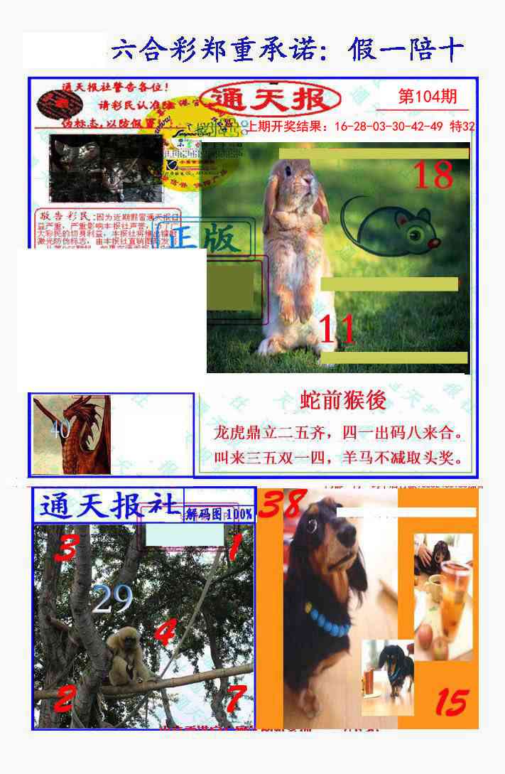 104期假一陪十通天报[图]