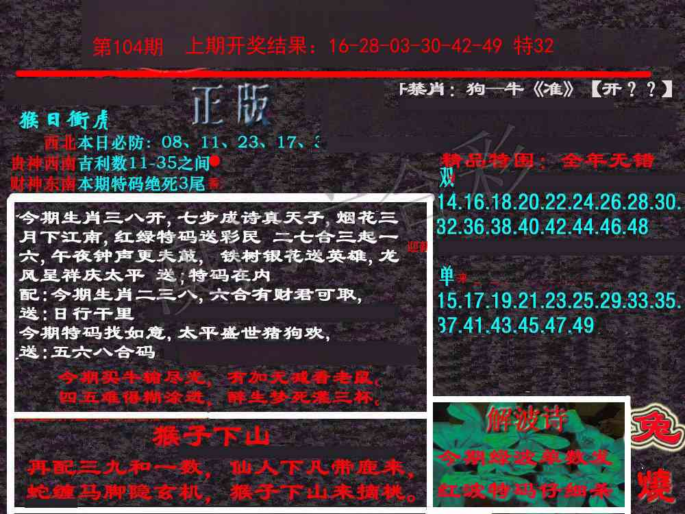 104期新港内幕[图]