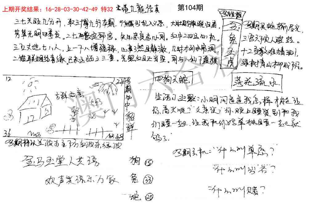104期手写九龙内幕[图]