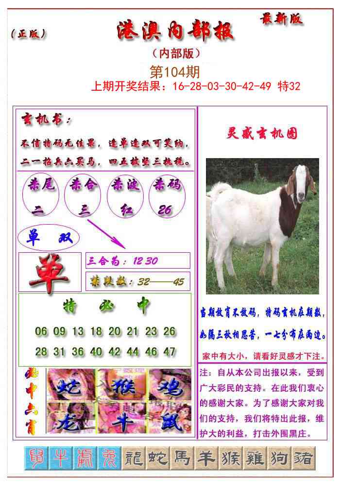 104期港澳报[图]