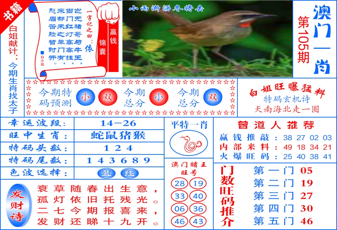 105期澳门东北虎[图]