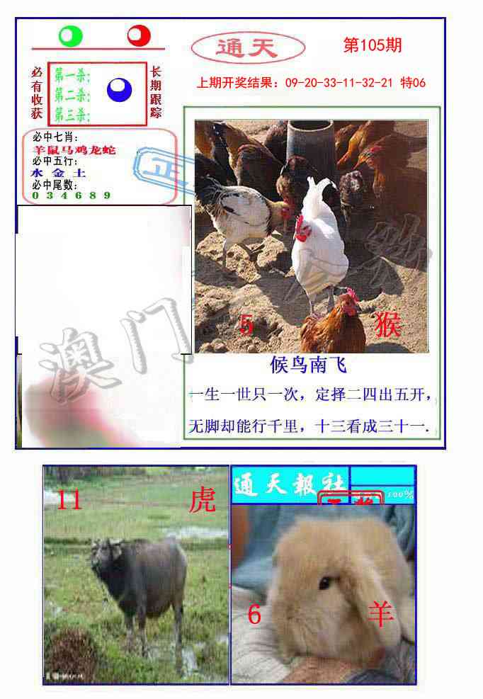 105期通天杀波图2[图]