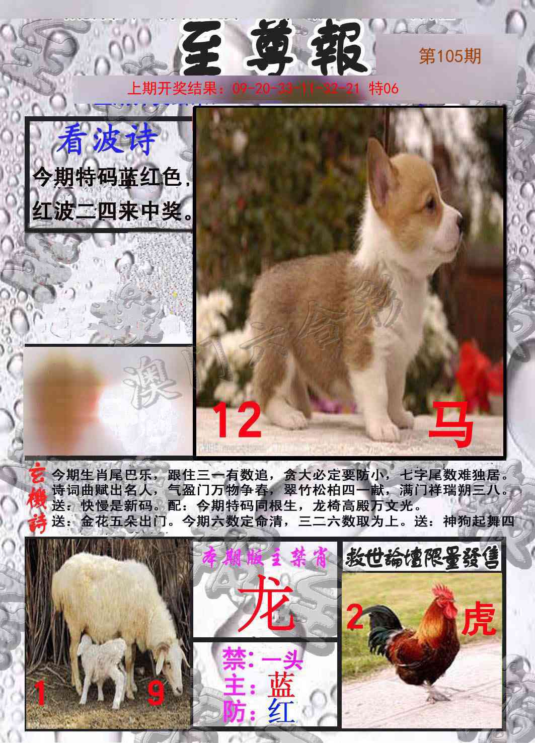 105期至尊报[图]