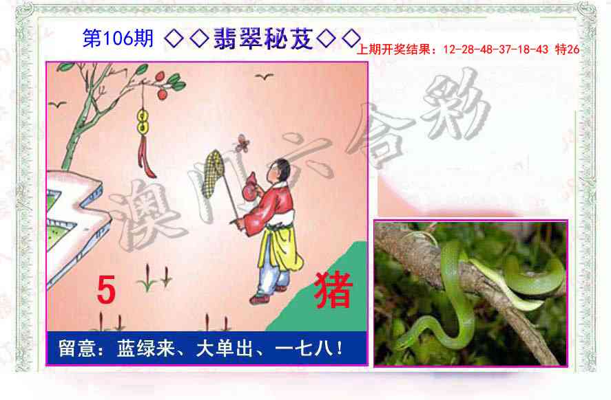 106期翡翠报[图]