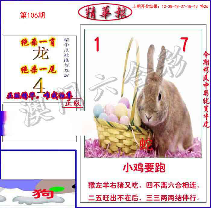 106期新精华报报[图]