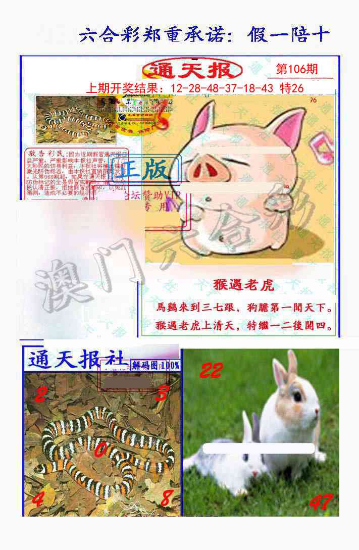 106期假一陪十通天报[图]