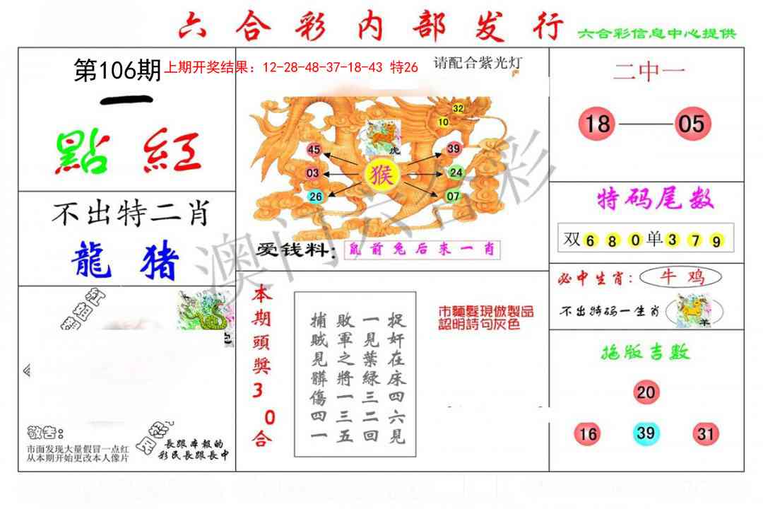106期一点红[图]