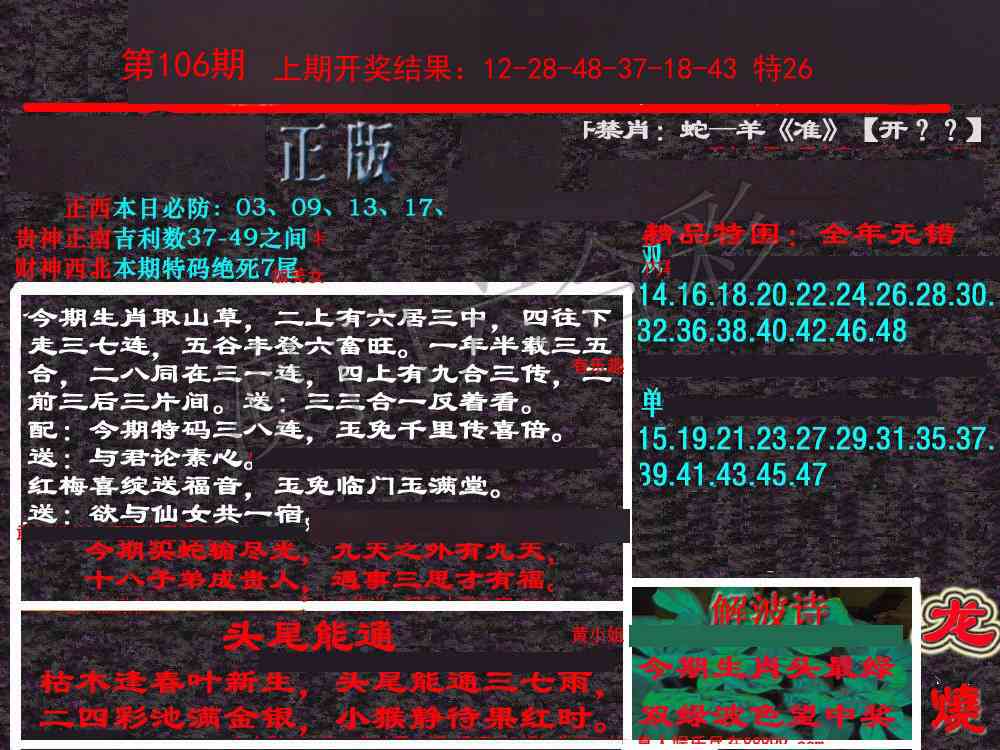 106期新港内幕[图]