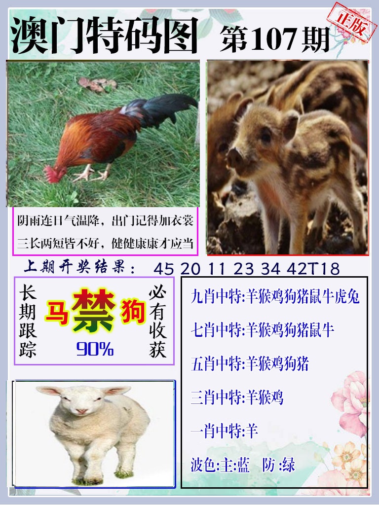 107期特码图[图]