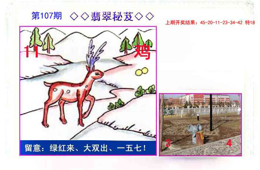 107期翡翠报[图]