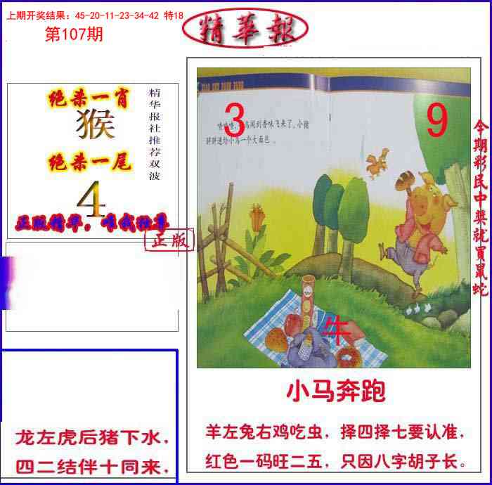 107期新精华报报[图]