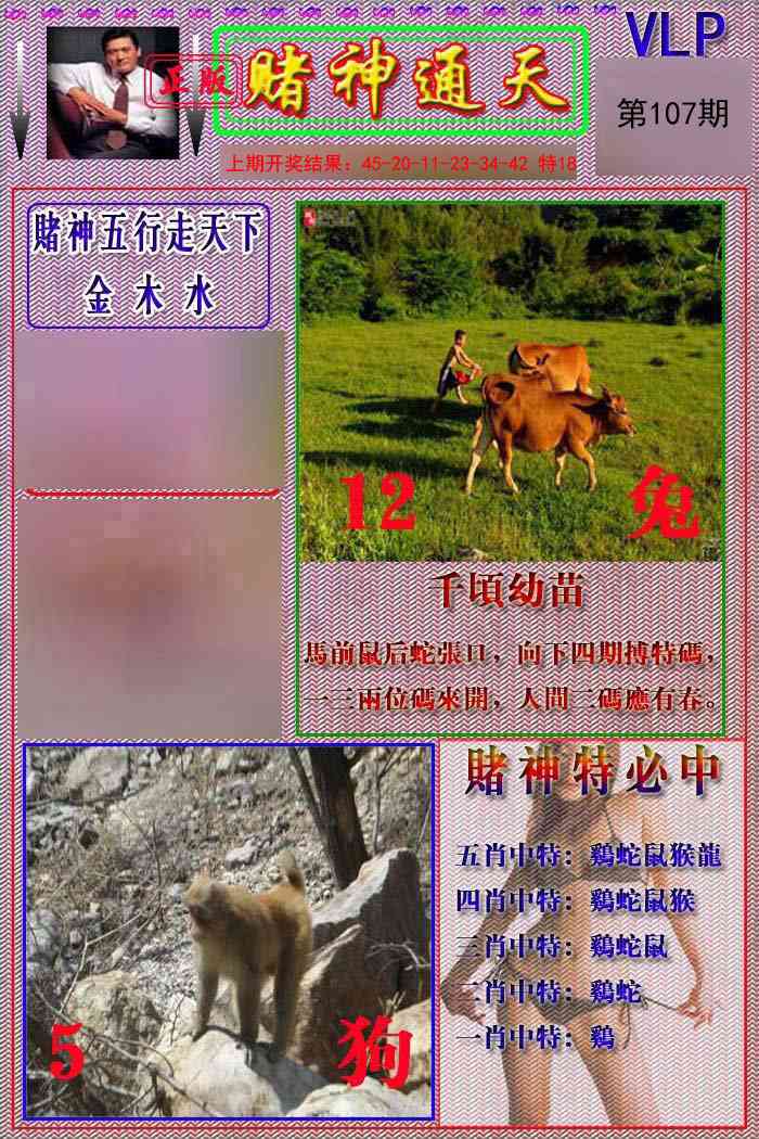 107期赌神通天报[图]