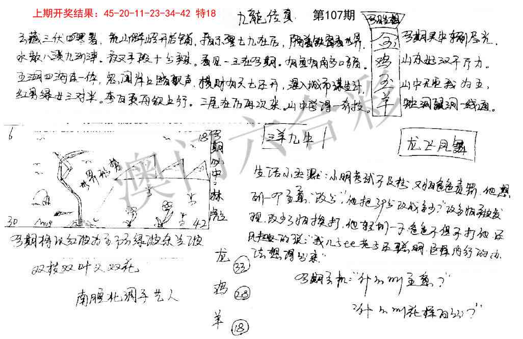 107期手写九龙内幕[图]