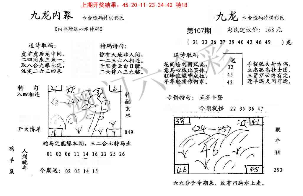 107期九龙内幕[图]