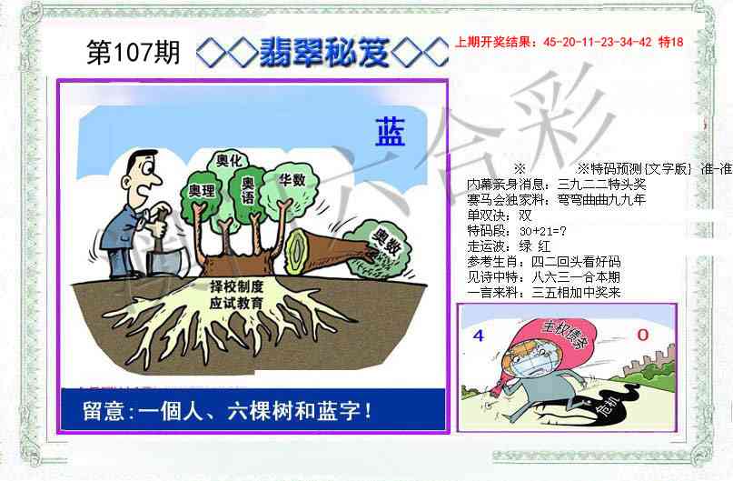 107期另翡翠秘笈[图]