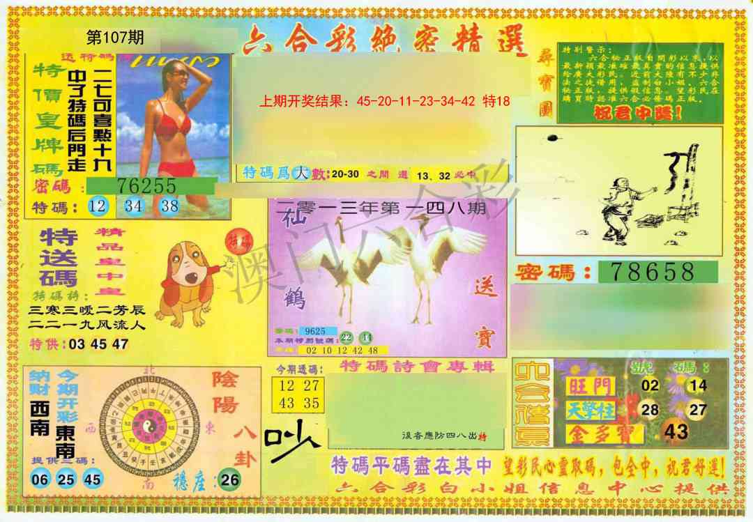 107期绝密精选A[图]