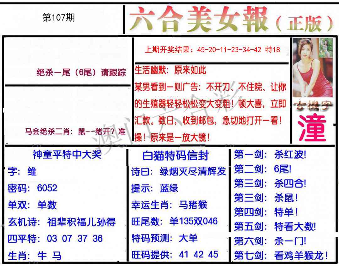 107期美女报[图]