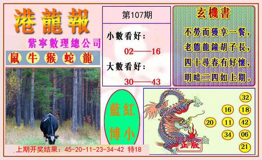 107期港龙报[图]