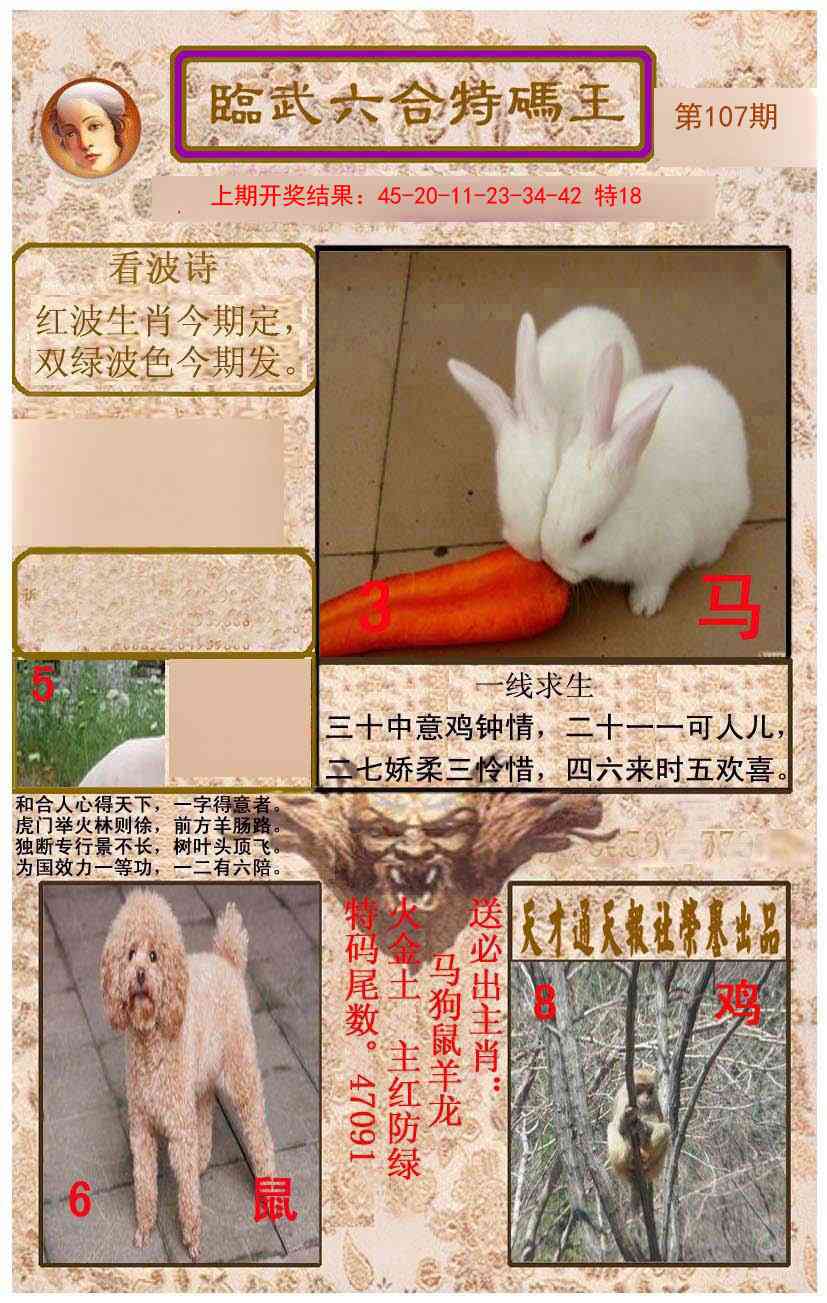 107期临武六合特码王[图]