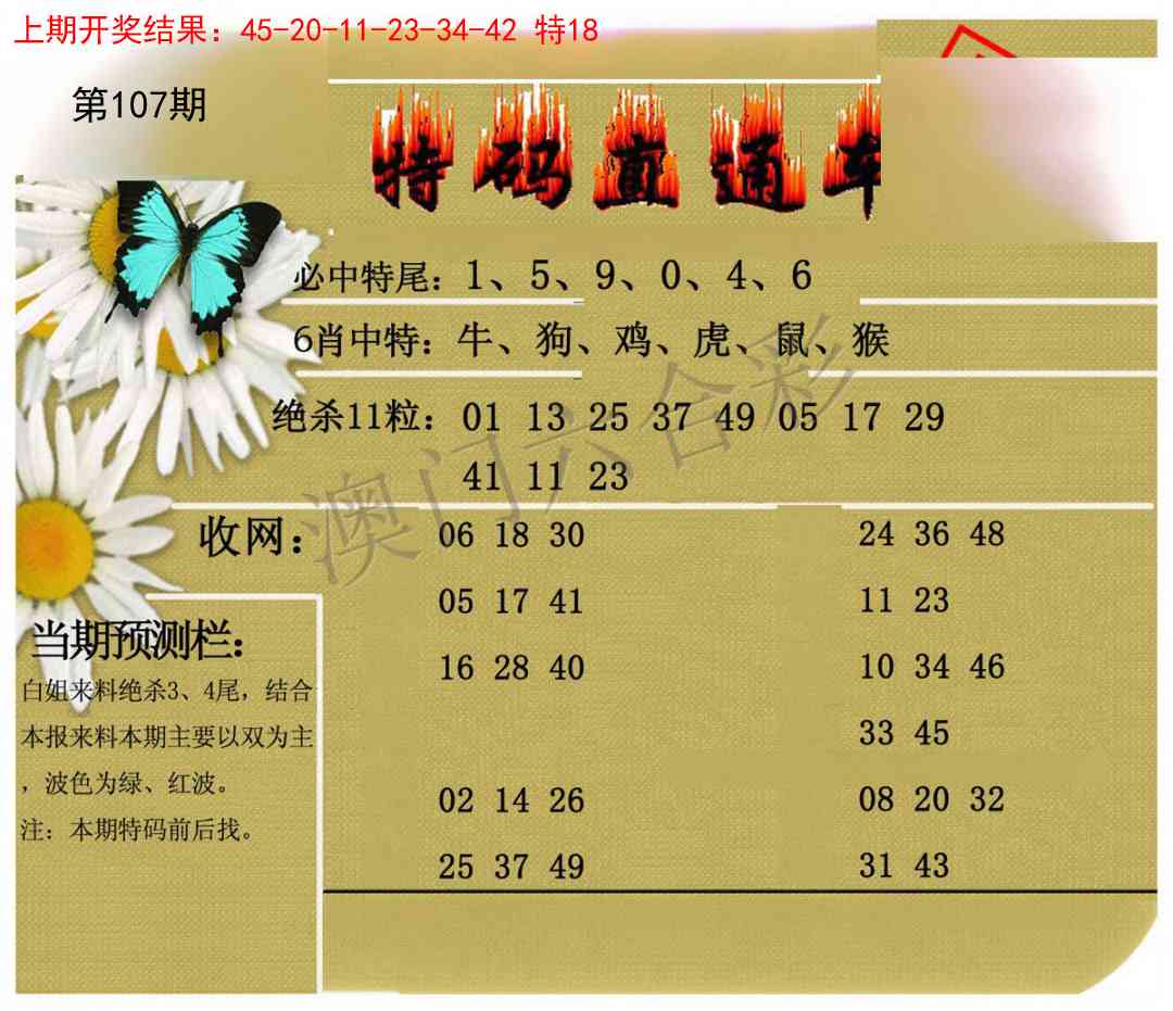 107期特码直通车[图]