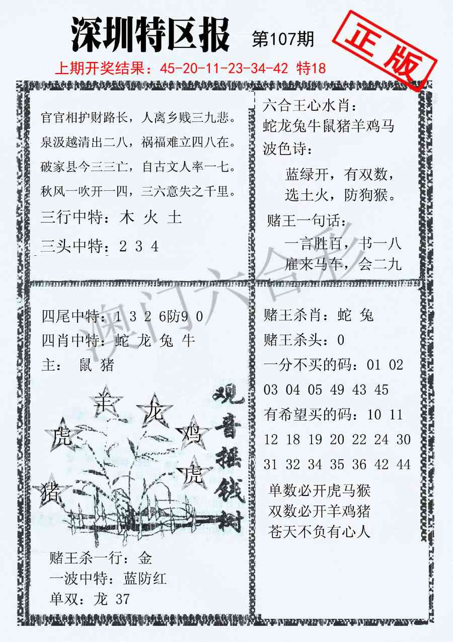 107期深圳特区报A[图]