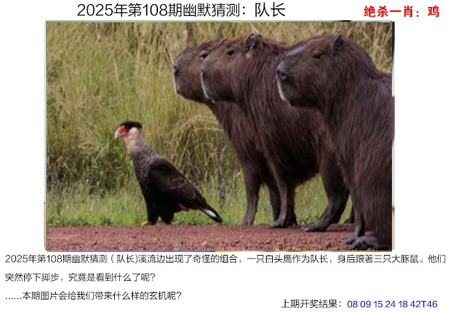 108期幽默猜测[图]