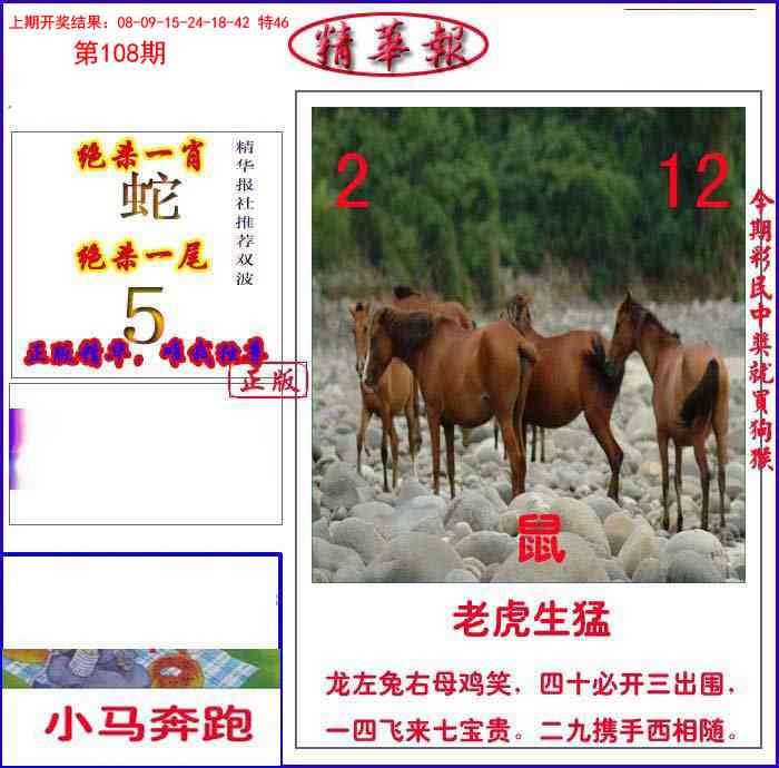 108期新精华报报[图]