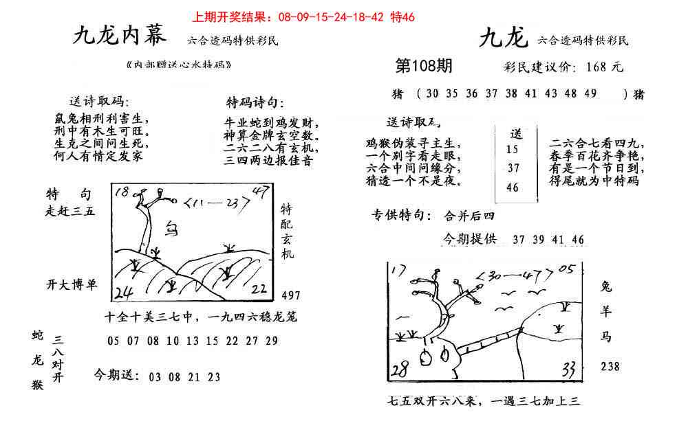 108期九龙内幕[图]