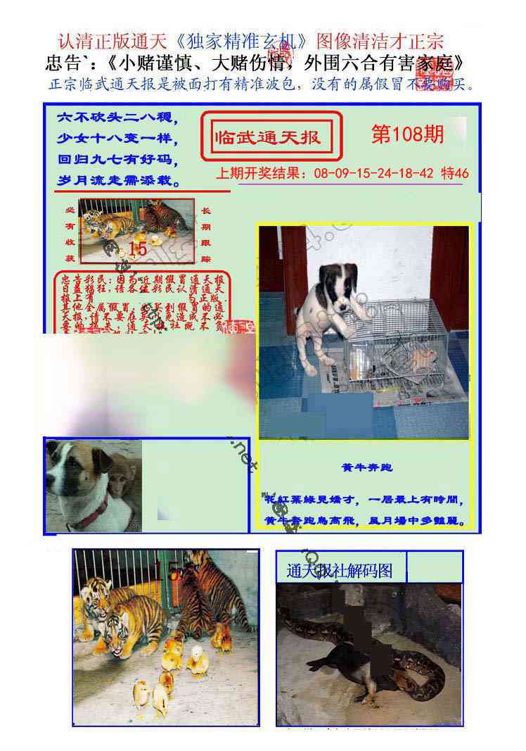 108期临武通天报[图]