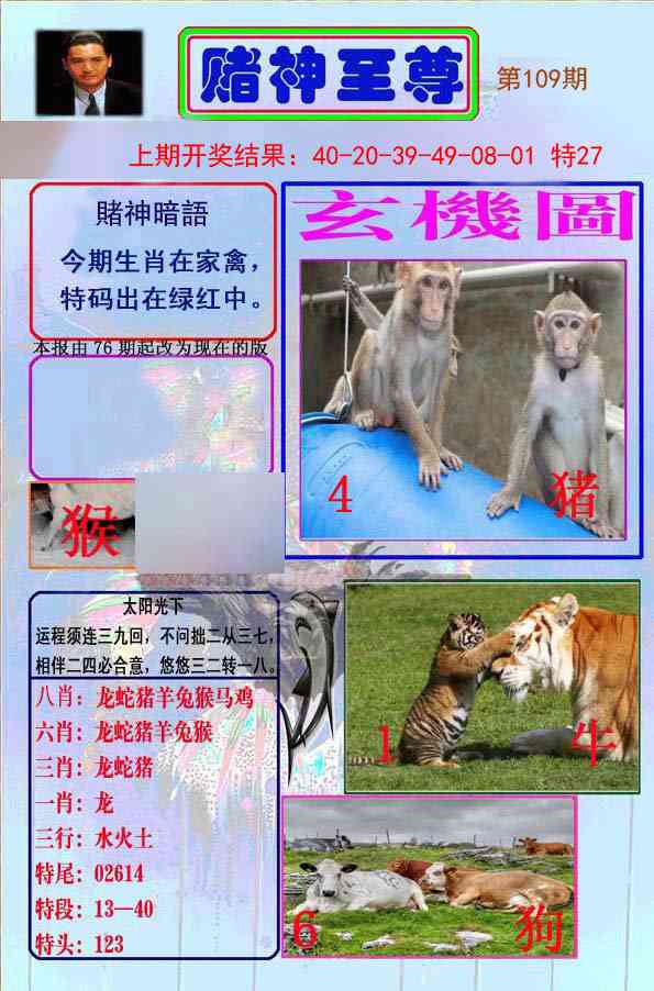 109期赌神至尊[图]