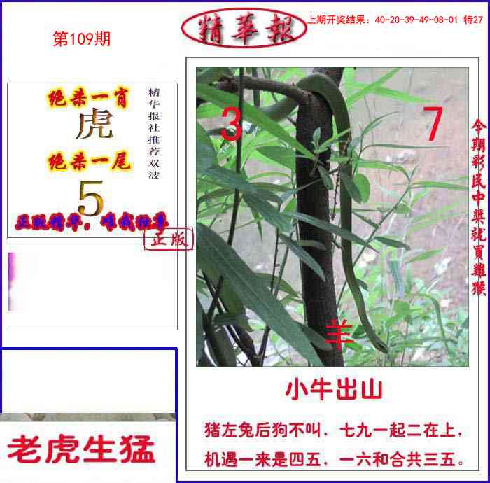 109期新精华报报[图]