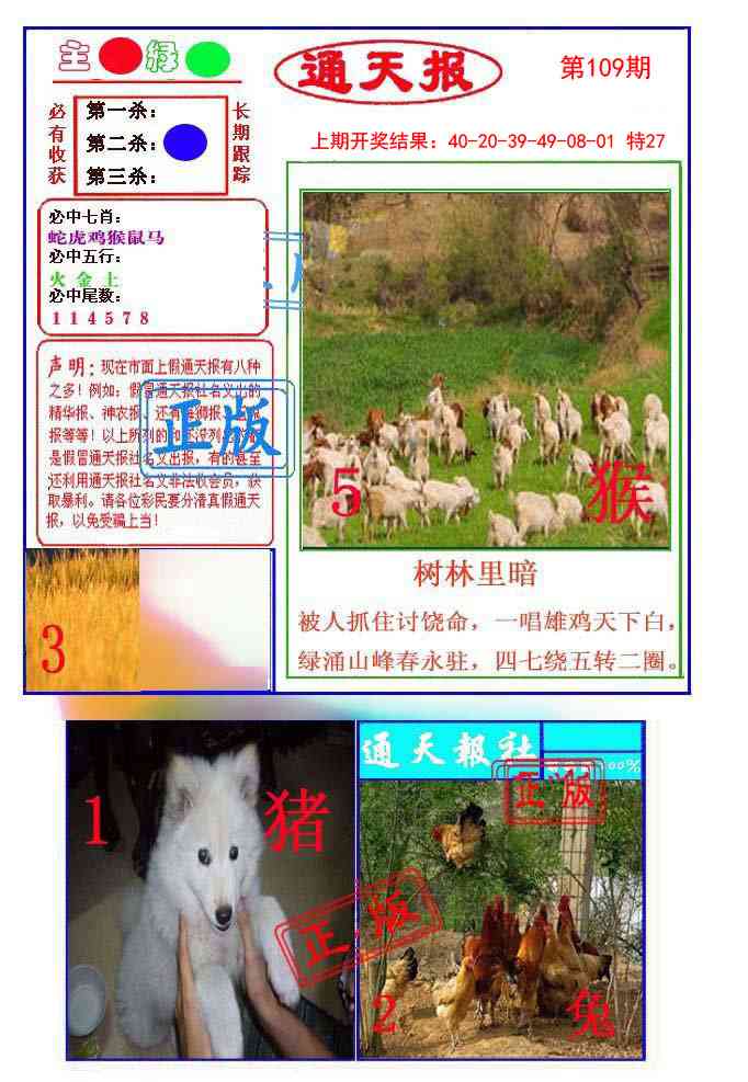 109期通天杀波图1[图]