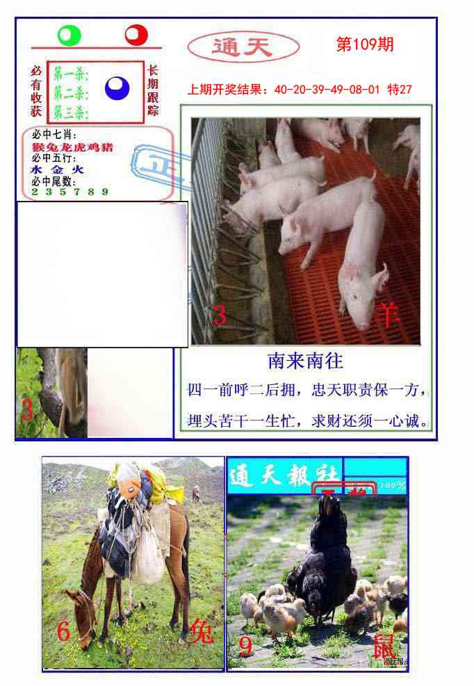 109期通天杀波图2[图]