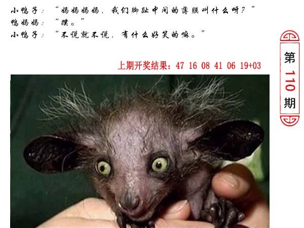 110期澳门生活幽默[图]