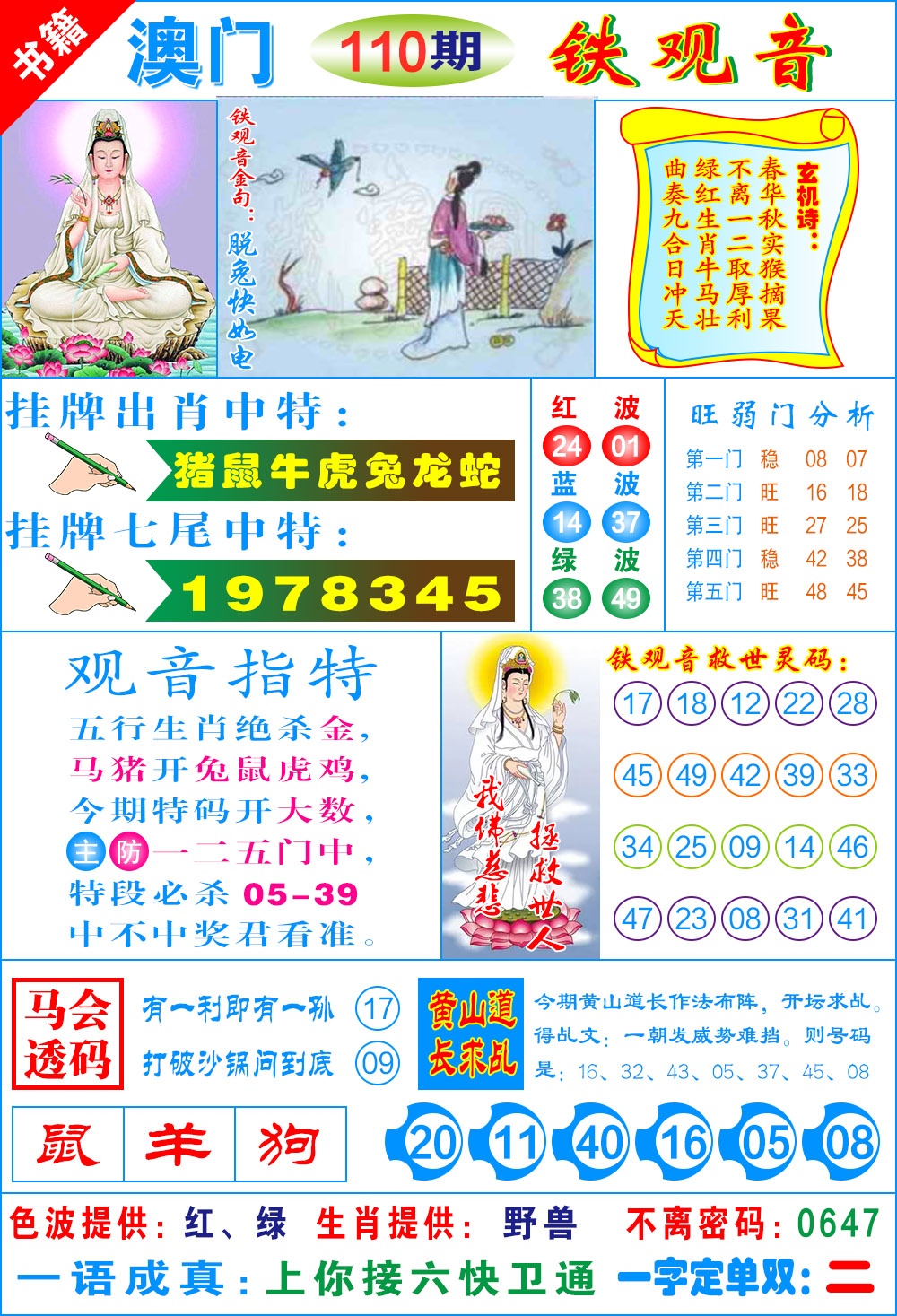 110期澳门铁观音[图]