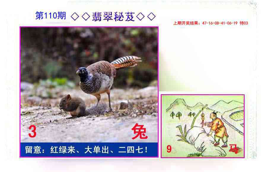 110期翡翠报[图]