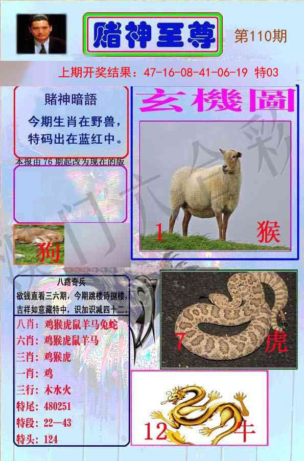 110期赌神至尊[图]